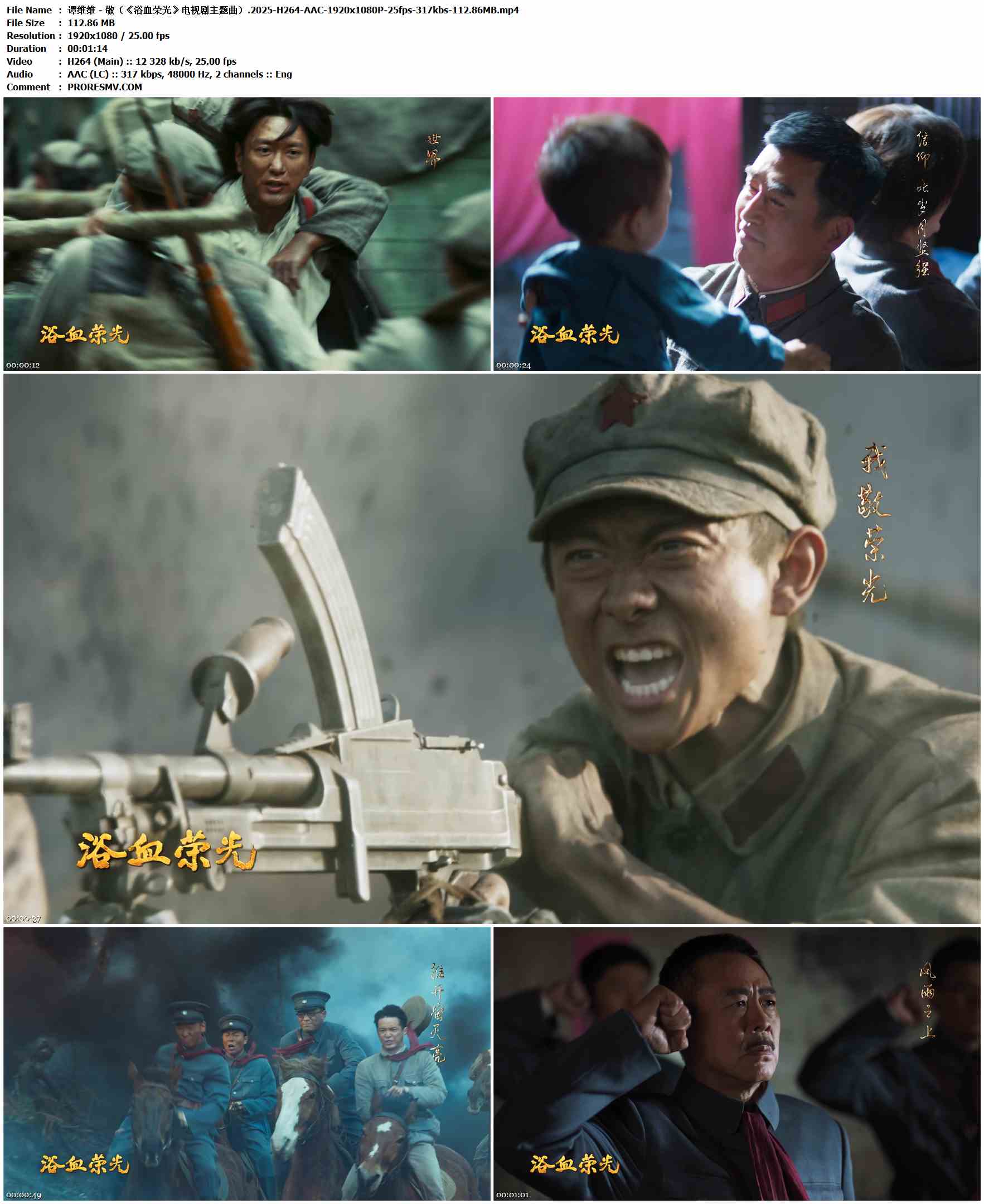 谭维维 - 敬（《浴血荣光》电视剧主题曲）.2025-H264-AAC-1920x1080P-25fps-317kbs-112.86MB官方MV_高清MV